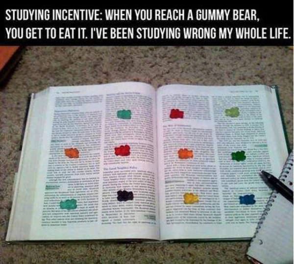 A Little Studying Incentive funny picture