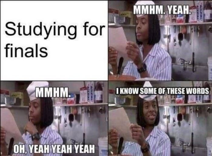 studying for finals funny picture
