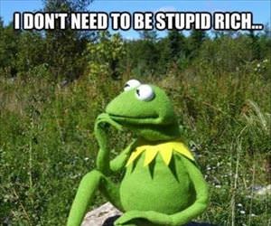 stupid rich