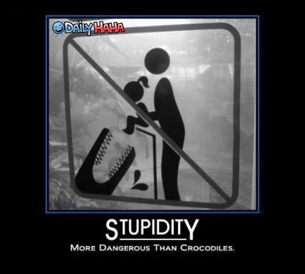 Stupidity is Dangerous Funny Picture