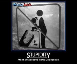 Stupidity is Dangerous Funny Picture