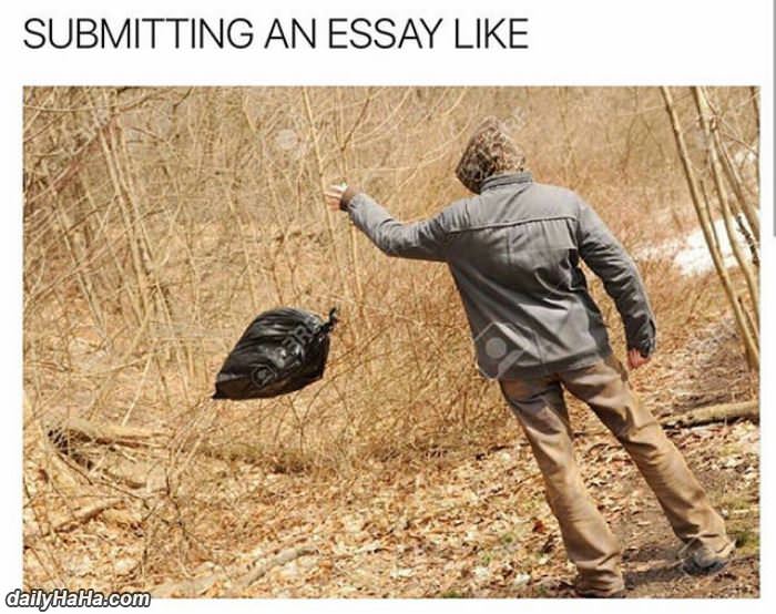 submitting an essay like funny picture