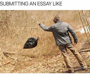 submitting an essay like funny picture