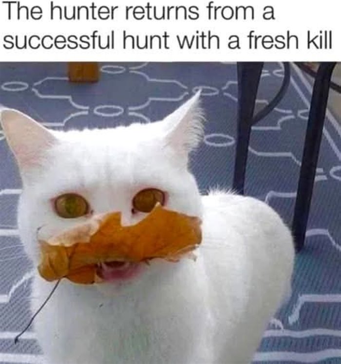 succesful