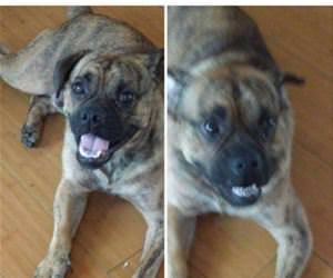 suddenly the mail funny picture