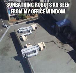 sunbathing robots