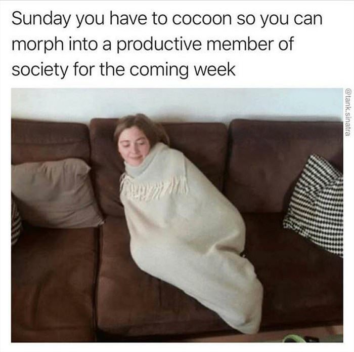 sundays are for cocoons