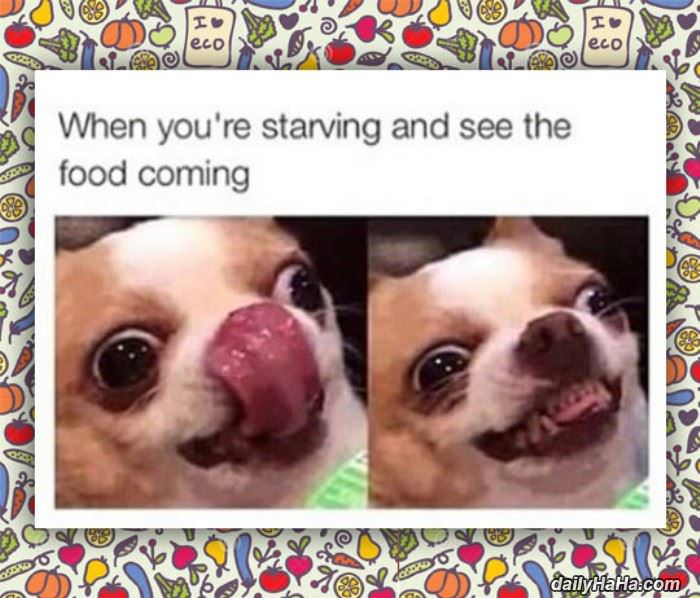 super hungry funny picture
