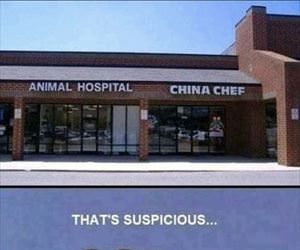 suspicious