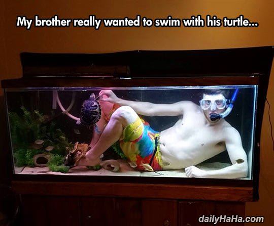 swimming with my turtle funny picture
