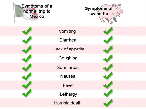 Swine Fly Symptoms funny picture