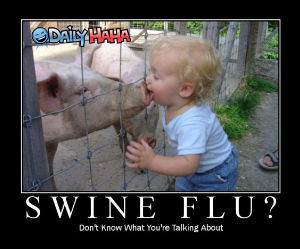 Swine Flu funny picture