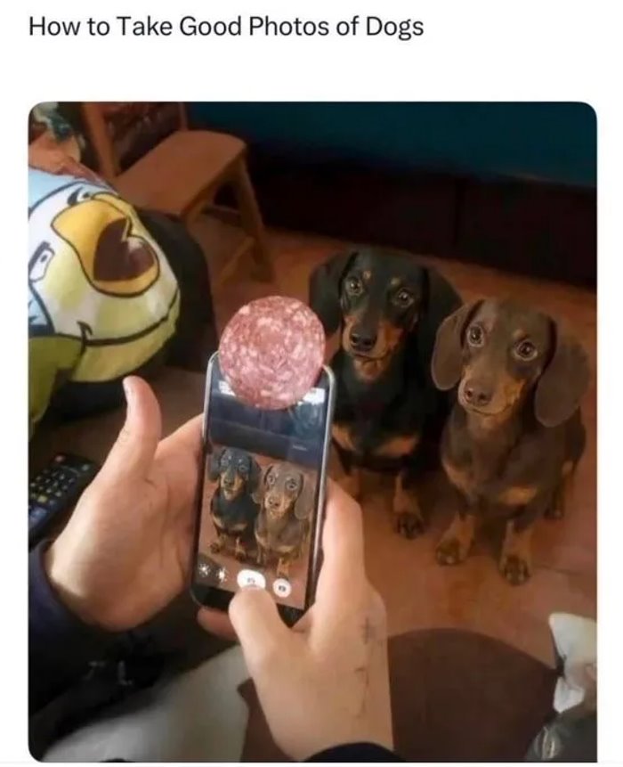 take a good photo