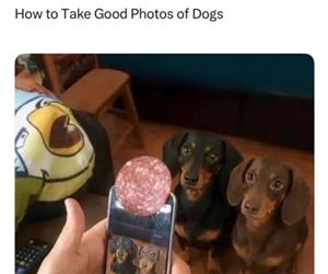 take a good photo