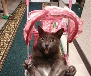 take me for a stroll