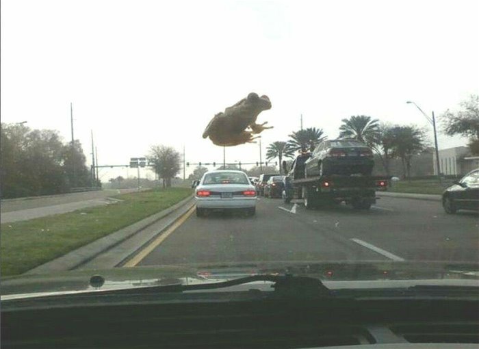 take me with you ... 2