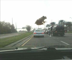 take me with you ... 2