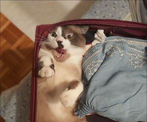take me with you