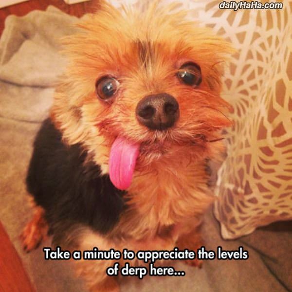 take a minute funny picture