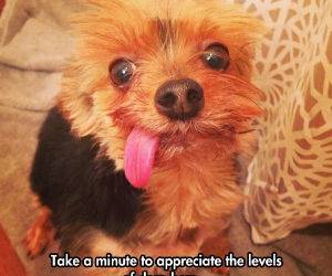 take a minute funny picture