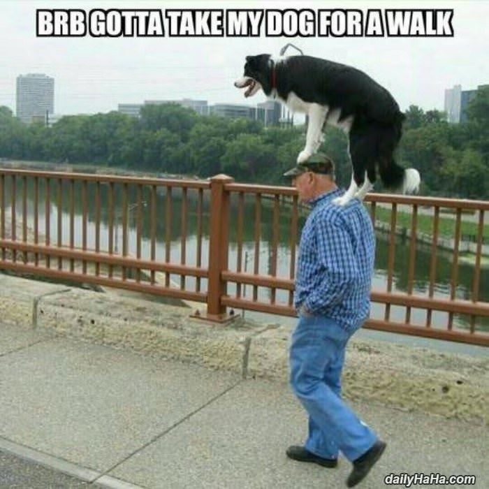 take my dog for a walk funny picture