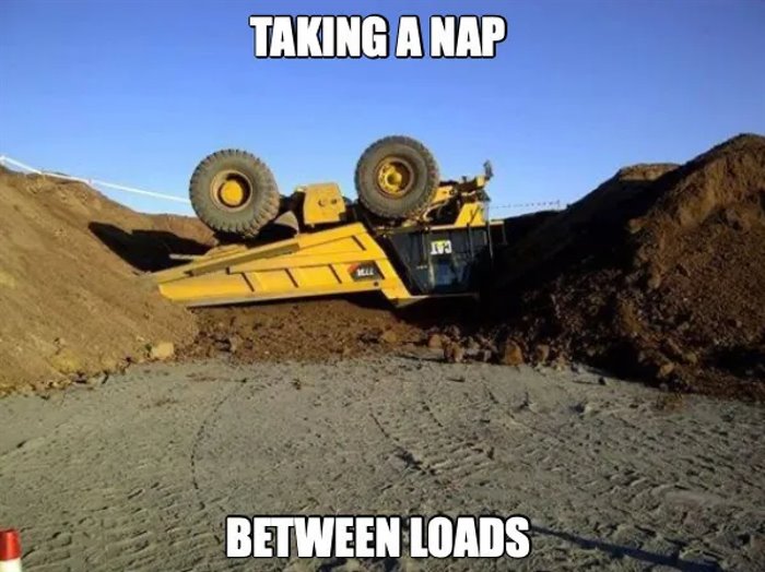 taking a little nap ... 2