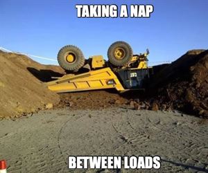 taking a little nap ... 2