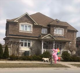 taking the dog for a walk