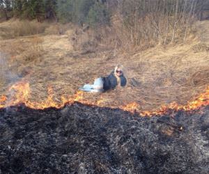 taking a cute pic funny picture