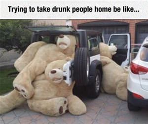 taking drunk people home funny picture