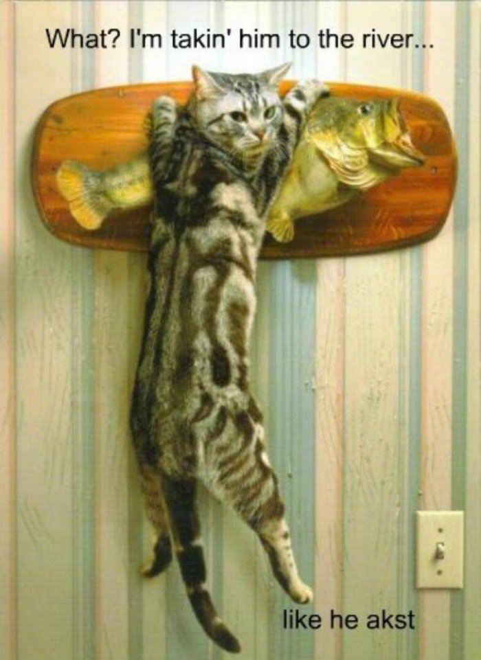 taking him to the river funny picture