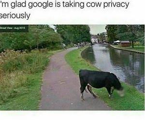 taking it seriously funny picture