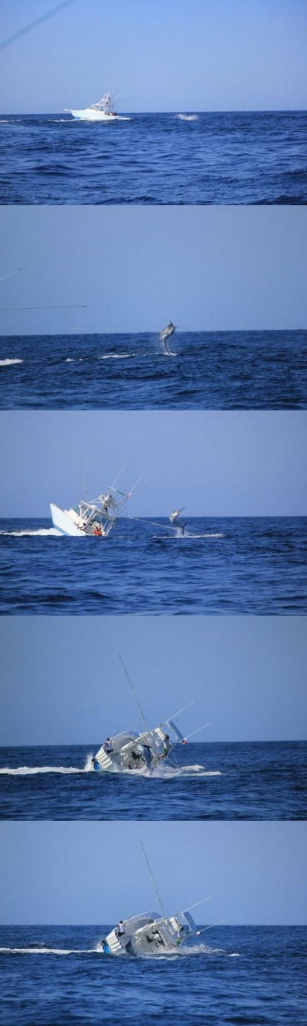 taking you with me funny picture