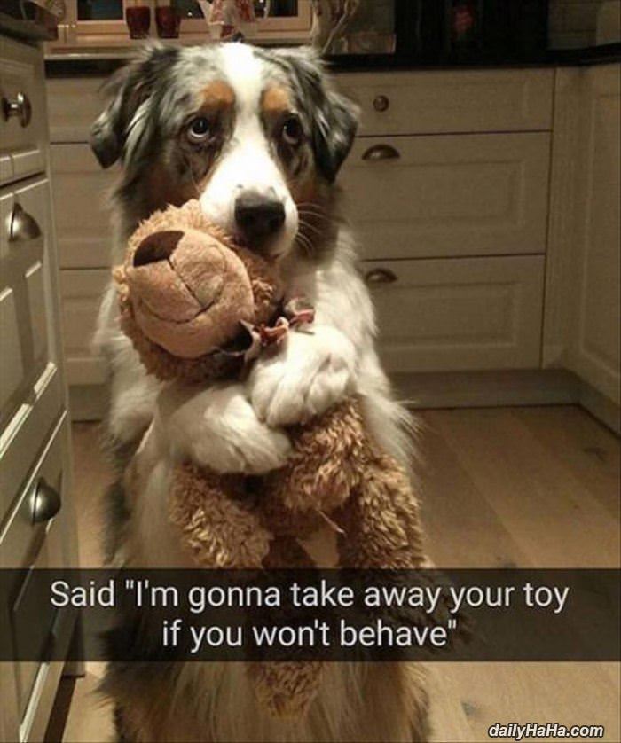 taking your toy away funny picture