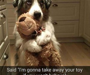 taking your toy away funny picture