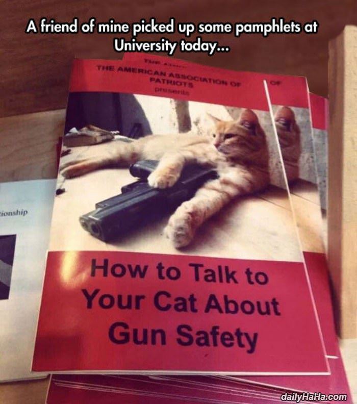 talk to your cat funny picture