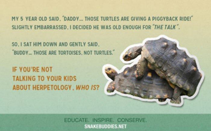 talk to your children funny picture