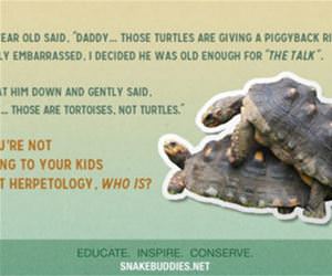 talk to your children funny picture