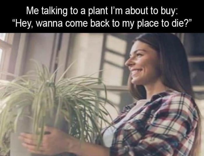talking to a plant
