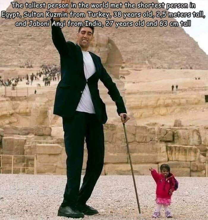 tallest and shortest