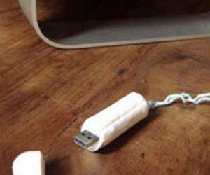 Tampon Flash Drive funny picture