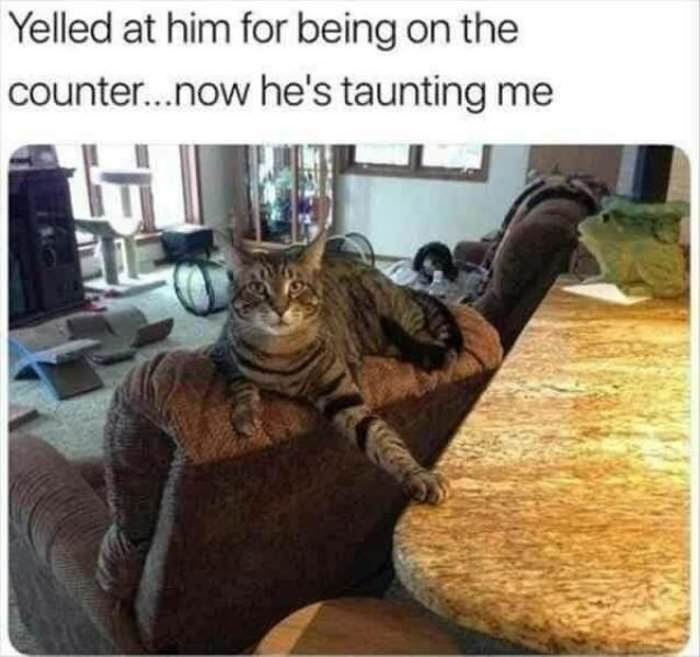 taunting me