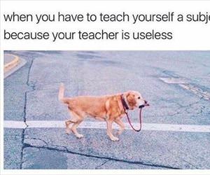 teacher is useless