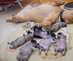 teaching starts young