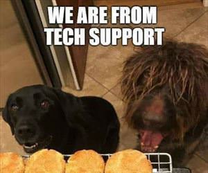 tech support team