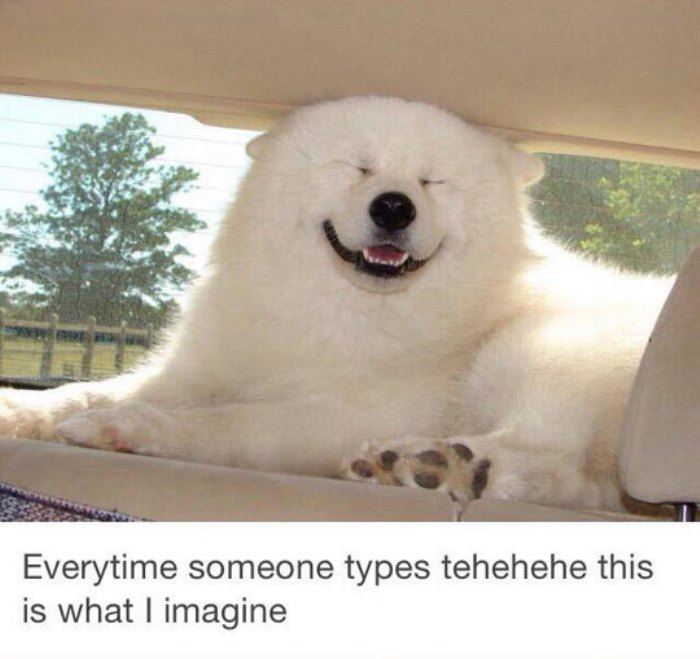 tehehehe funny picture