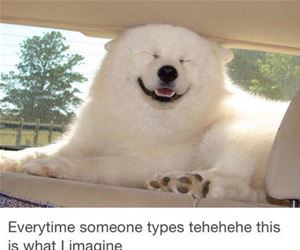 tehehehe funny picture