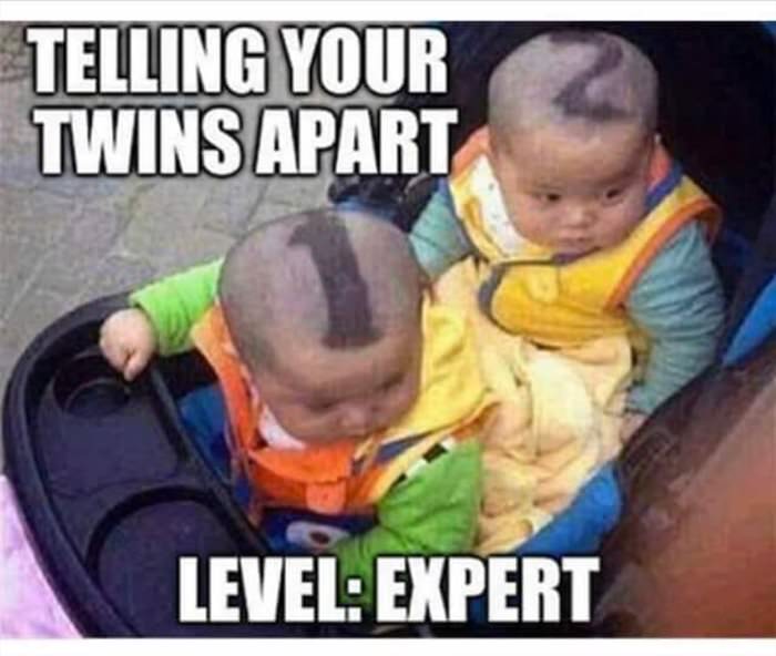 telling your twins apart ... 2