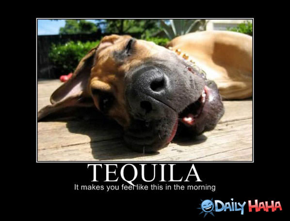 Ugh Tequila funny picture