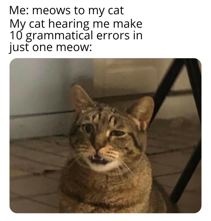 terrible meows